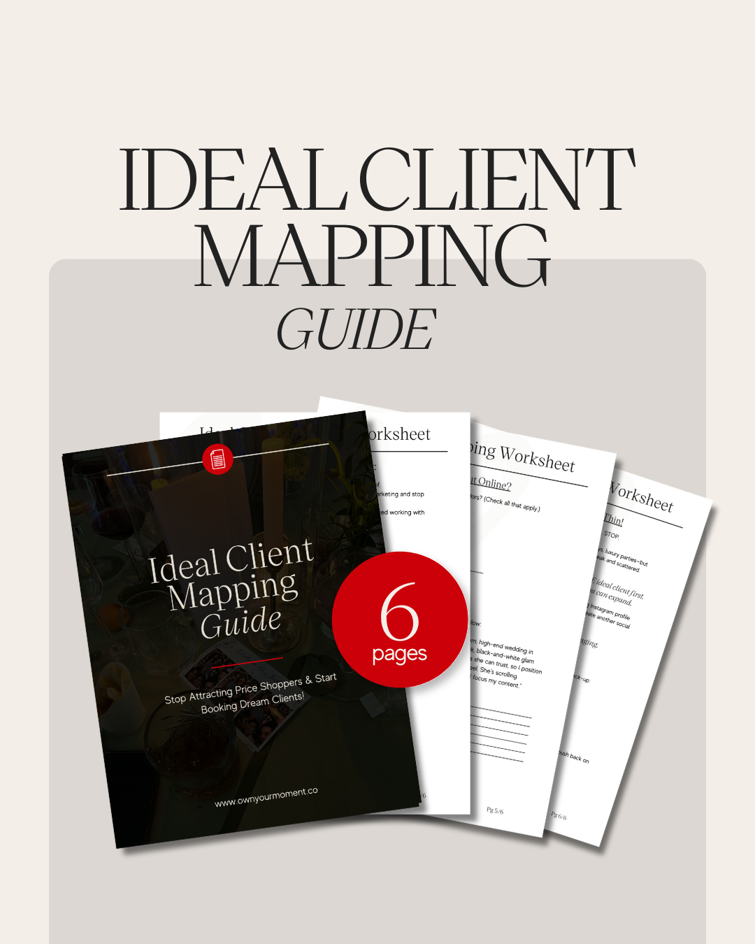Ideal Client Mapping Guide